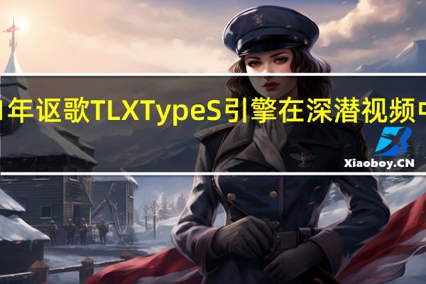 2021年讴歌TLXTypeS引擎在深潜视频中大受欢迎