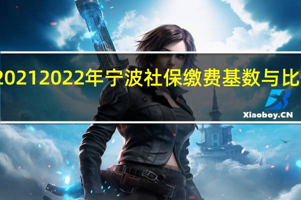 2021 2022年宁波社保缴费基数与比例一览
