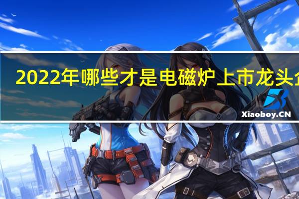 2022年哪些才是电磁炉上市龙头企业