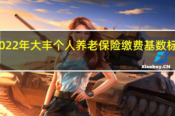 2022年大丰个人养老保险缴费基数标准一览