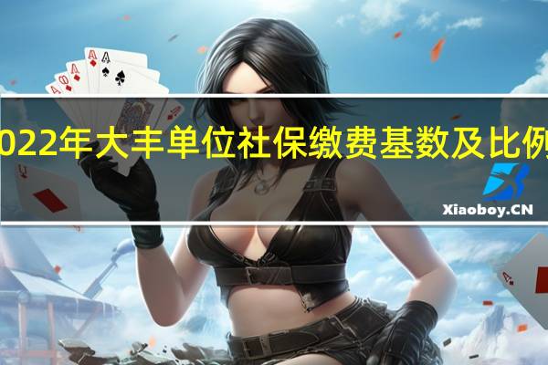 2022年大丰单位社保缴费基数及比例一览表