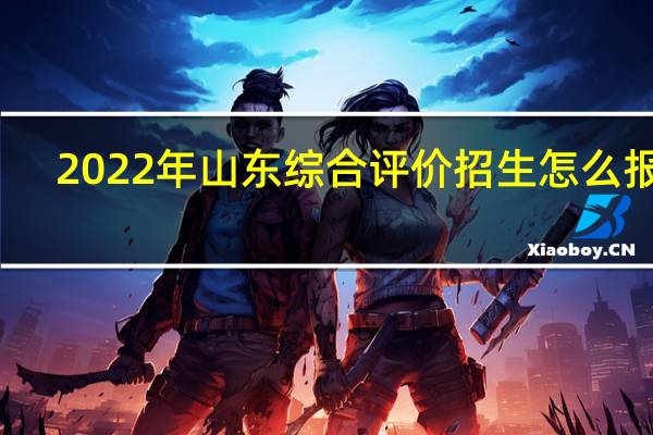 2022年山东综合评价招生怎么报名？