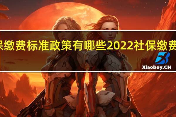 2022年最新社保缴费标准政策有哪些2022社保缴费基数是多少<meta　