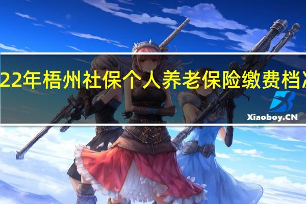 2022年梧州社保个人养老保险缴费档次有哪些