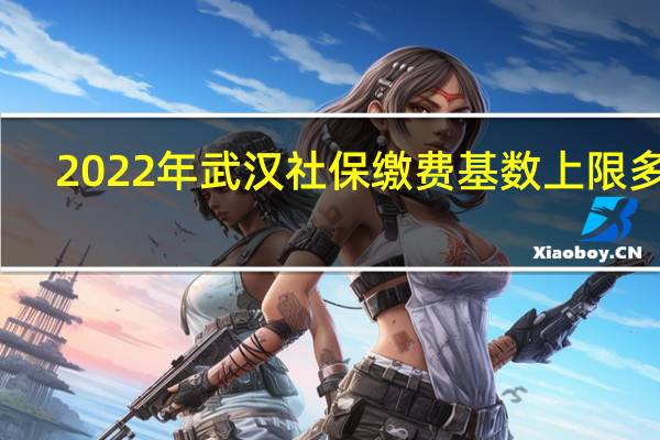 2022年武汉社保缴费基数上限多少，武汉社保最高交多少钱一个月