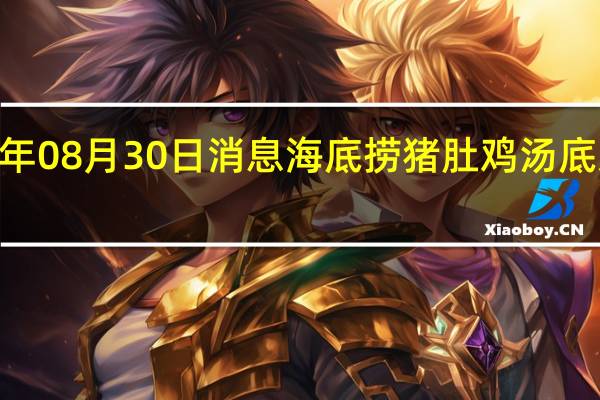 2022年08月30日消息 海底捞猪肚鸡汤底系粉料冲泡