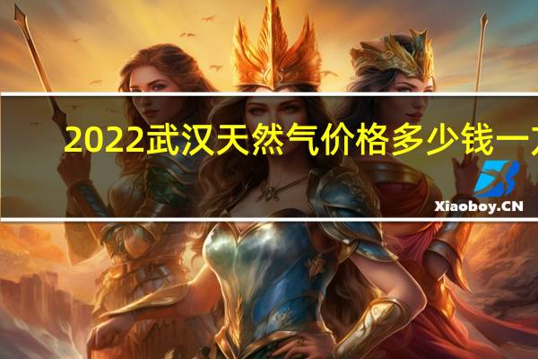 2022武汉天然气价格多少钱一方（武汉天然气价格）