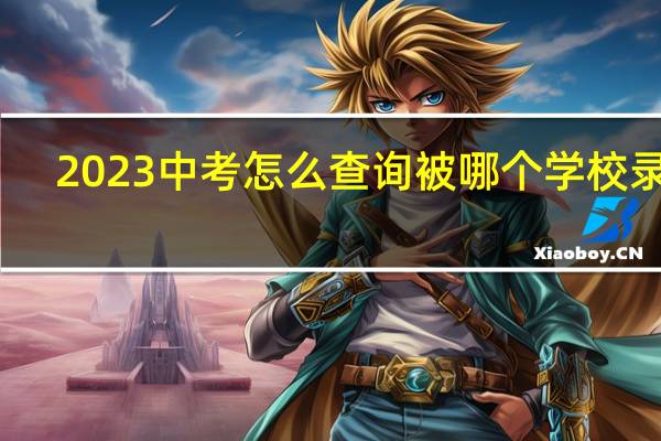 2023中考怎么查询被哪个学校录取