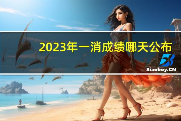 2023年一消成绩哪天公布