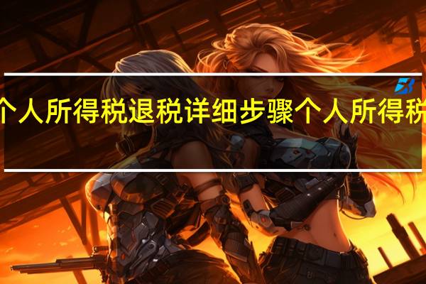 2023年个人所得税退税详细步骤 个人所得税怎么申报退税