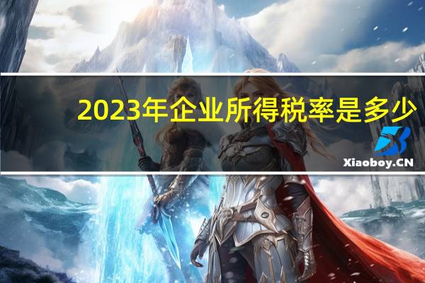 2023年企业所得税率是多少（所得税率是多少）