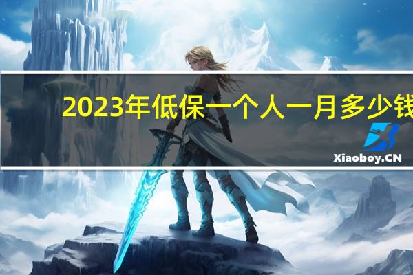 2023年低保一个人一月多少钱
