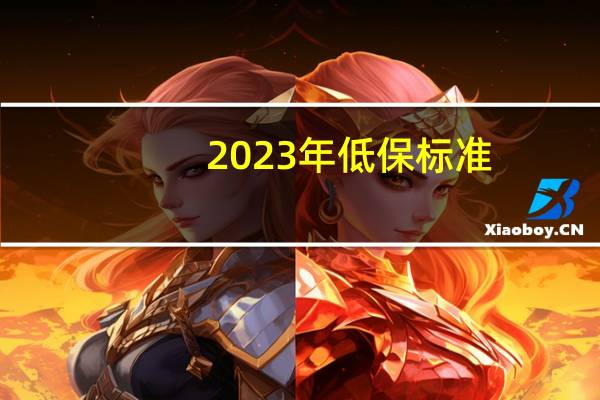 2023年低保标准