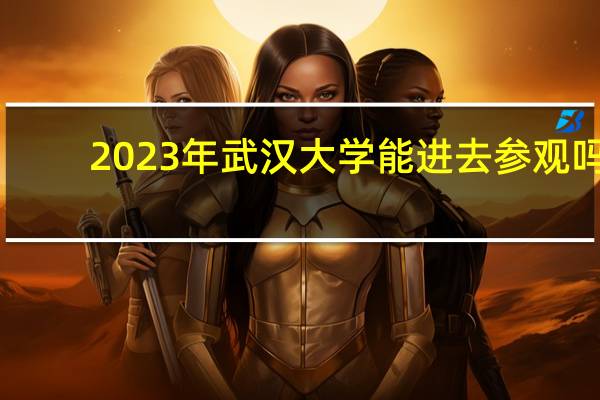 2023年武汉大学能进去参观吗