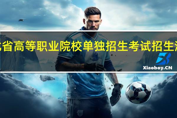 2023年河北省高等职业院校单独招生考试招生流程是如何进行的?