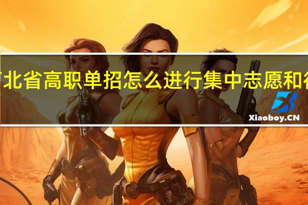 2023年河北省高职单招怎么进行集中志愿和征集志愿的填报？