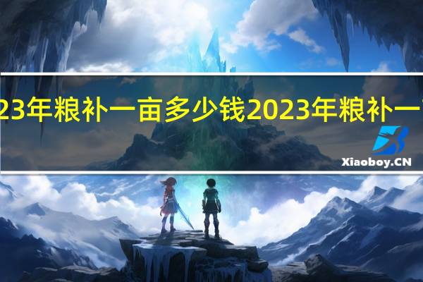 2023年粮补一亩多少钱 2023年粮补一亩多少钱