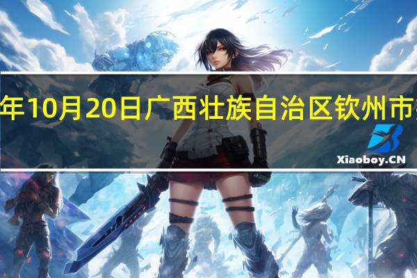 2023年10月20日广西壮族自治区钦州市疫情大数据-今日/今天疫情全网搜索最新实时消息动态情况通知播报