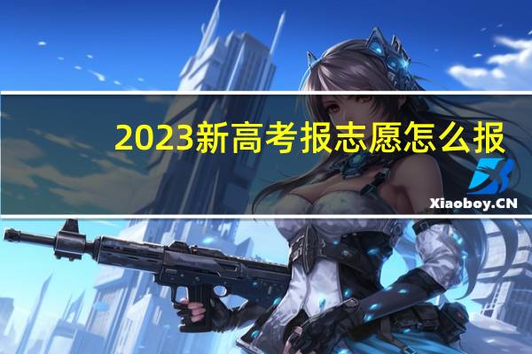 2023新高考报志愿怎么报