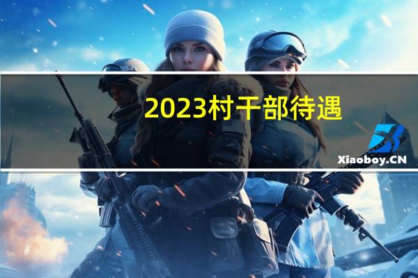 2023村干部待遇