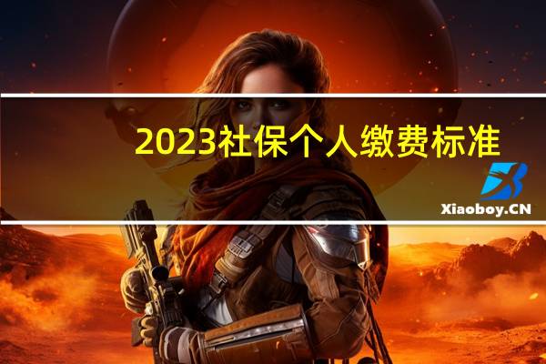 2023社保个人缴费标准