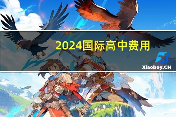 2024国际高中费用