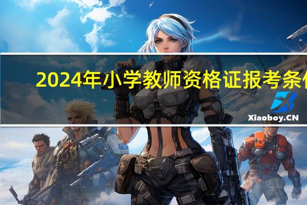 2024年小学教师资格证报考条件