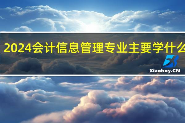 2024会计信息管理专业主要学什么课程