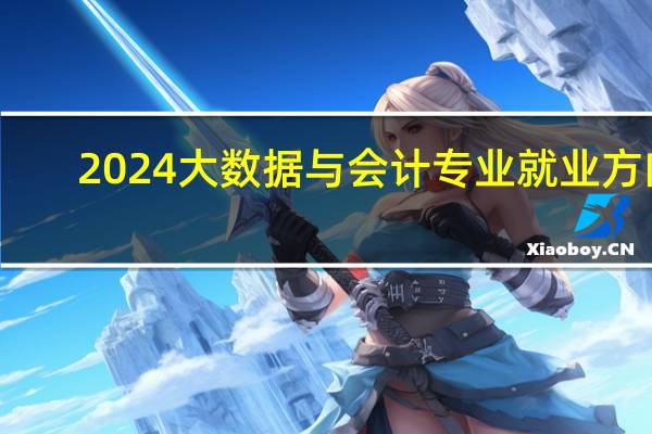 2024大数据与会计专业就业方向