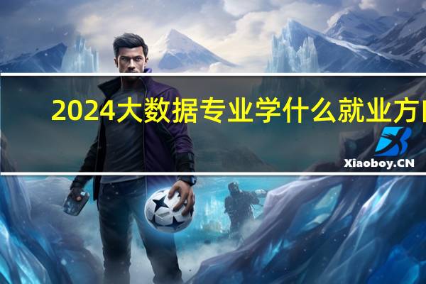 2024大数据专业学什么就业方向