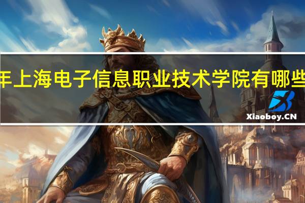 2024年上海电子信息职业技术学院有哪些专业比较好