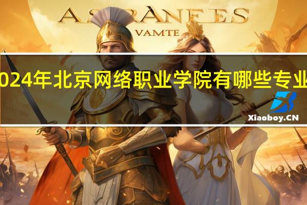 2024年北京网络职业学院有哪些专业比较好