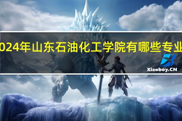 2024年山东石油化工学院有哪些专业比较好