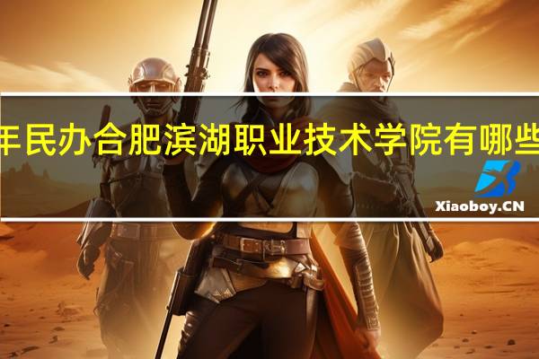 2024年民办合肥滨湖职业技术学院有哪些专业比较好