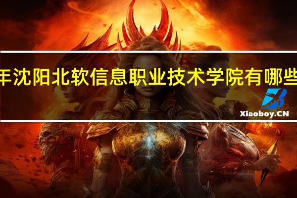 2024年沈阳北软信息职业技术学院有哪些专业比较好