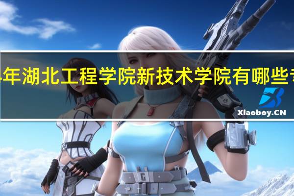 2024年湖北工程学院新技术学院有哪些专业比较好