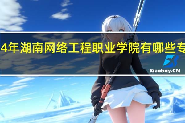 2024年湖南网络工程职业学院有哪些专业比较好