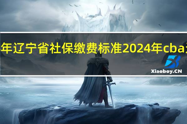 2024年辽宁省社保缴费标准 2024年cba辽宁赛程表