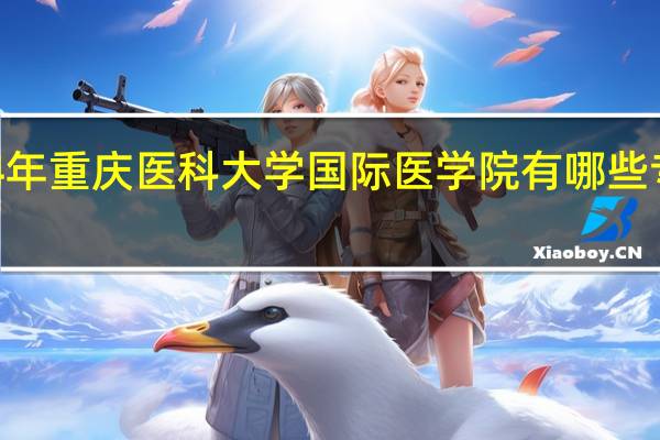 2024年重庆医科大学国际医学院有哪些专业比较好
