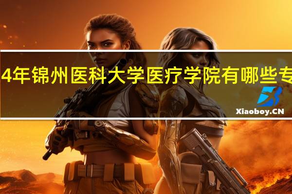 2024年锦州医科大学医疗学院有哪些专业比较好