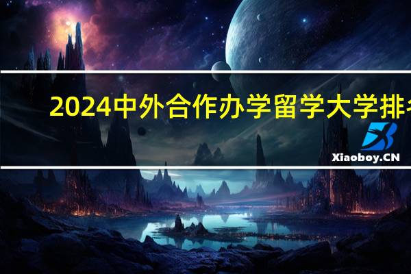 2024中外合作办学留学大学排名