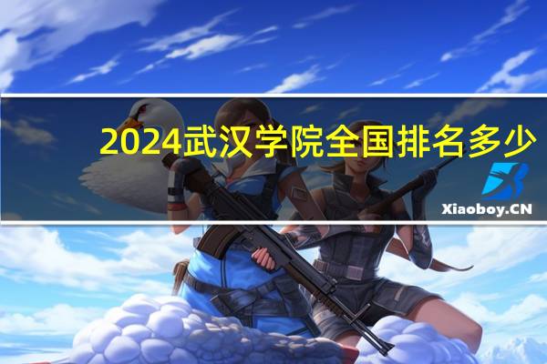 2024武汉学院全国排名多少
