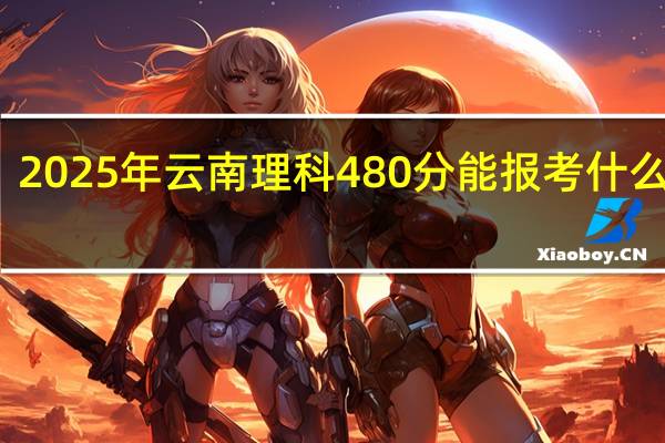 2025年云南理科480分能报考什么大学