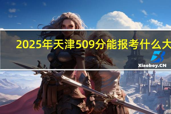 2025年天津509分能报考什么大学