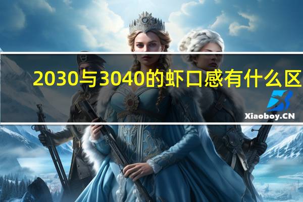 2030与3040的虾口感有什么区别