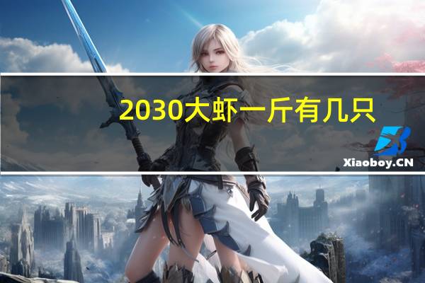 2030大虾一斤有几只