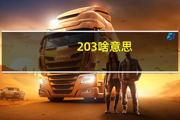 203啥意思