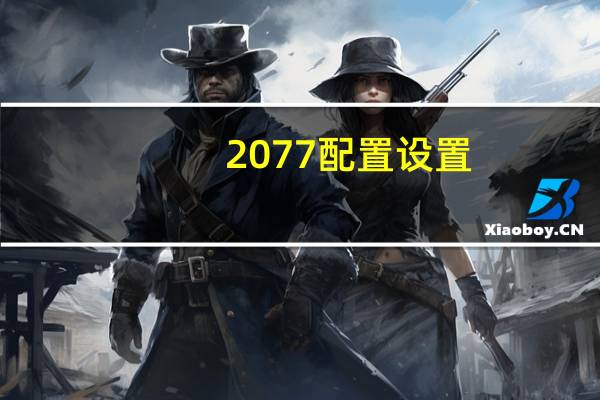 2077配置设置（2077配置）