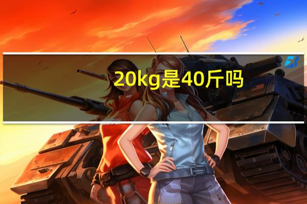 20kg是40斤吗