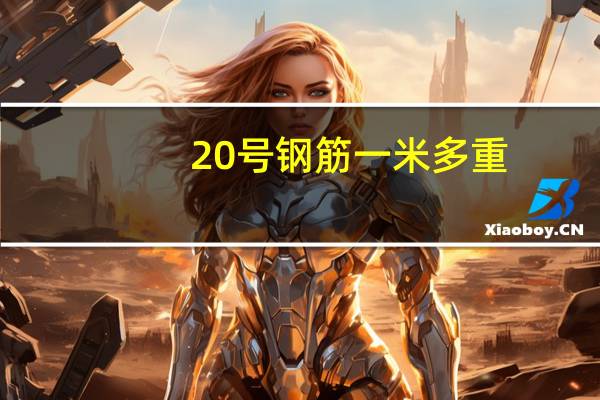 20号钢筋一米多重